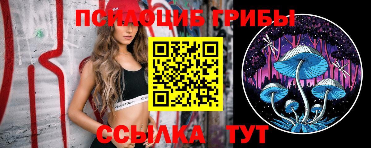 Галлюциногенные грибы MAGIC MUSHROOMS  Вход с VPN  Гатчина 