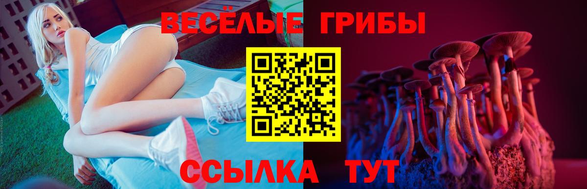 Псилоцибиновые грибы Magic Shrooms Гатчина
