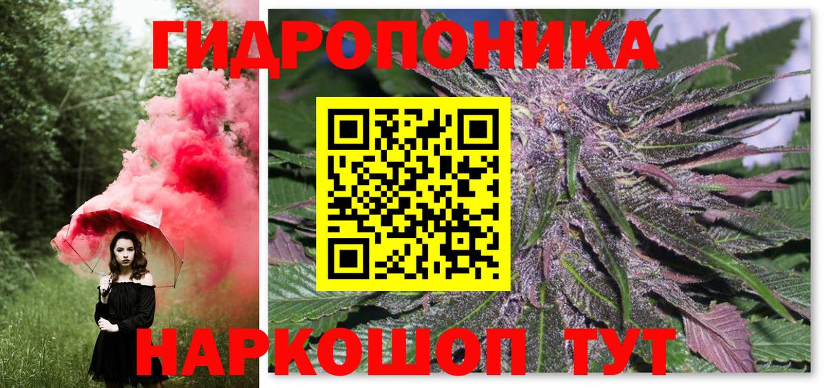 Марихуана семена  Вход с VPN  Гатчина  МАРИХУАНА White Widow  Бошки Шишки марихуана 